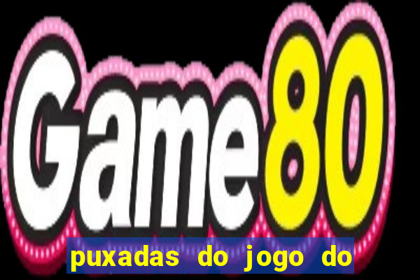 puxadas do jogo do bicho sueli